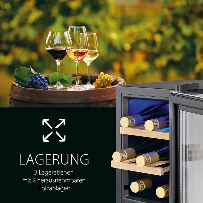 ProfiCook Getränkekühlschrank PC-WK 1231 39.5 cm hoch 24.6 cm breit für 6 Flaschen 8 à 075 Liter thermoelektrische Kühlung Drucktasten-Steuerung